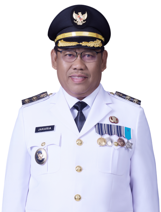 Wakil Bupati
